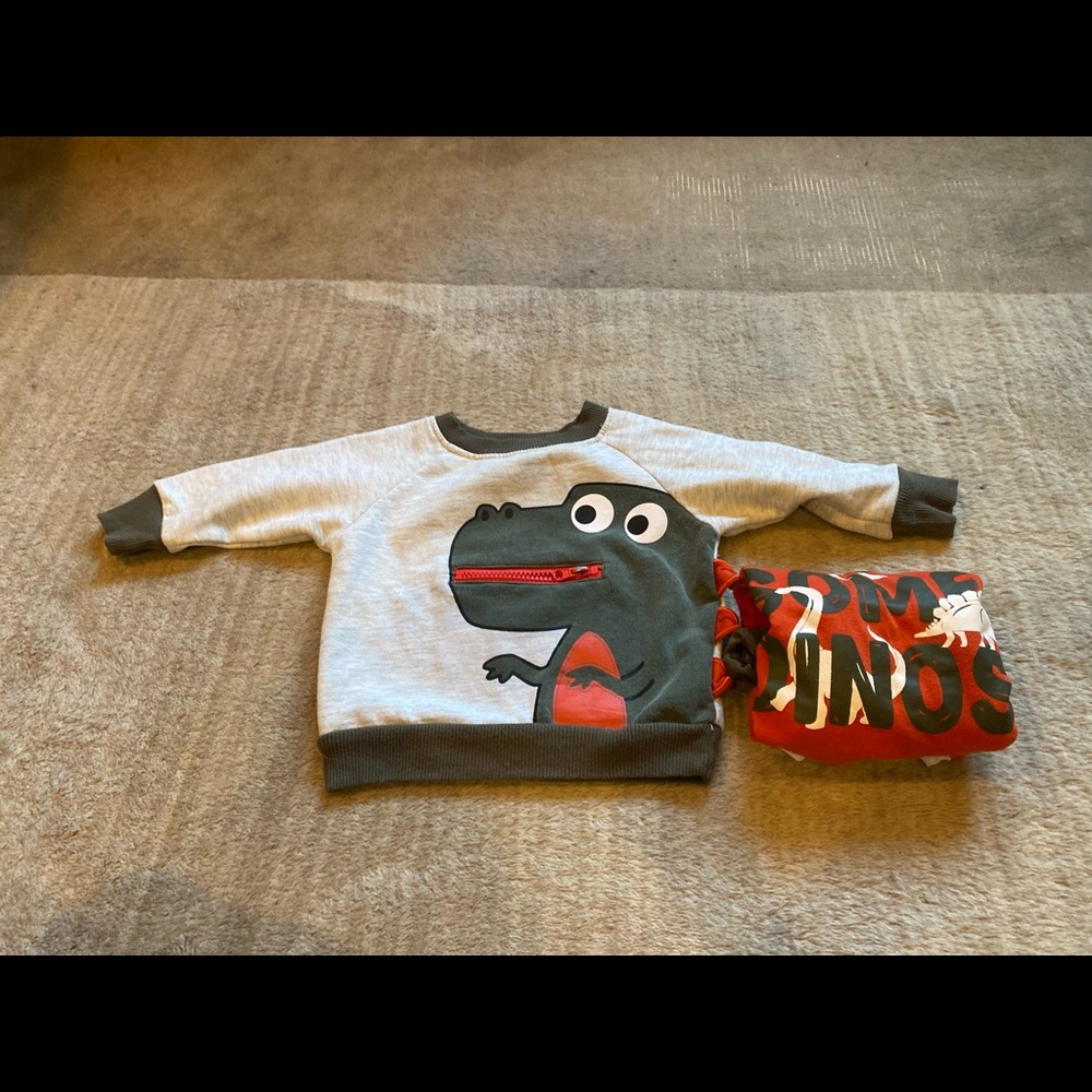 Little Rebels: Dinosaur Baby 3pc Sweat Outfit 12M